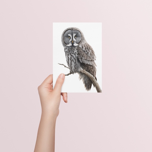 Watercolor Great Grey Owl Portrait Wall Art Print Poster, Unframed - Picture 5 of 6